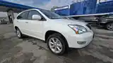 Lexus RX series, 2009-3