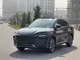 BYD Song Plus Flagship, 2024-2