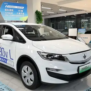 BYD Song Plus Flagship, 2024 на заказ