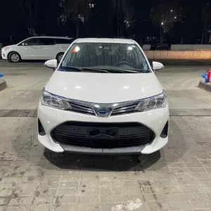 Toyota Axio, 2017