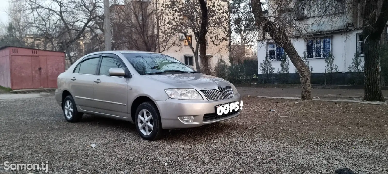 Toyota Corolla, 2006-1