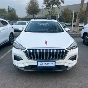 Hongqi E-HS3, 2019