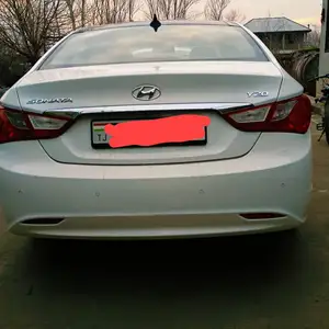 Hyundai Sonata, 2010