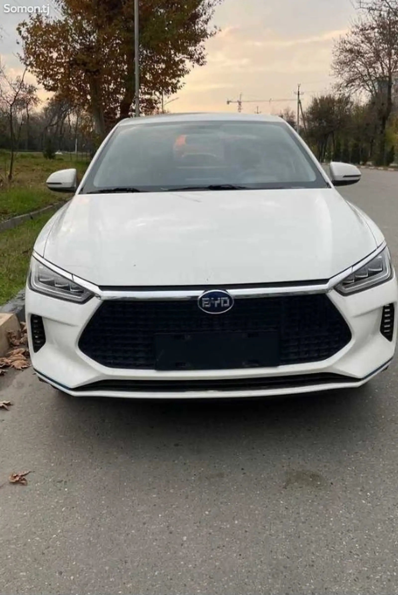 BYD E3, 2019-1