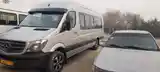 Mercedes-Benz Sprinter, 2008-9