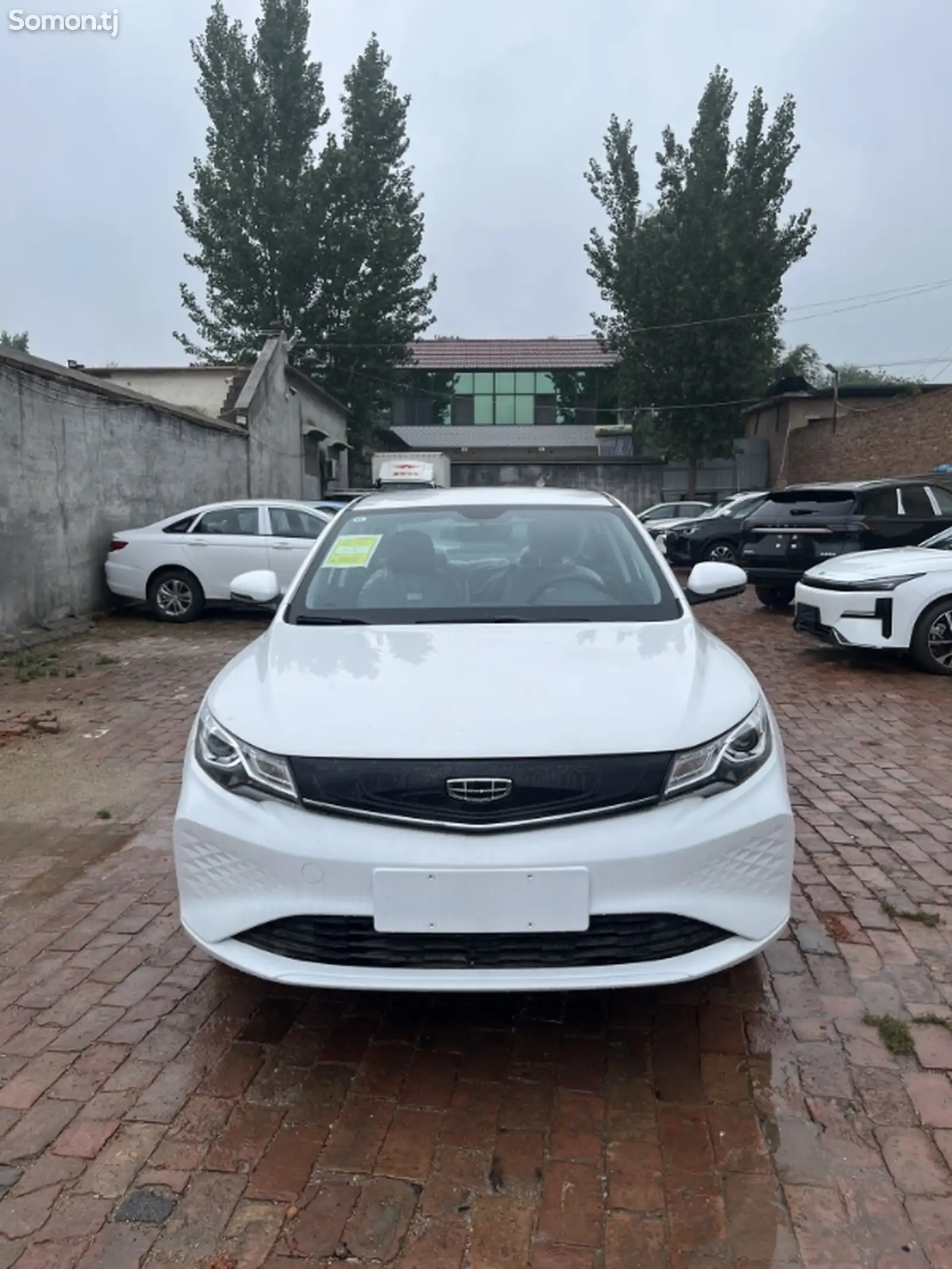 Geely Emgrand, 2024-1