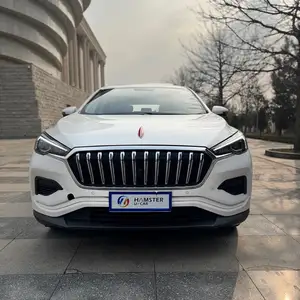 Hongqi E-HS3, 2020