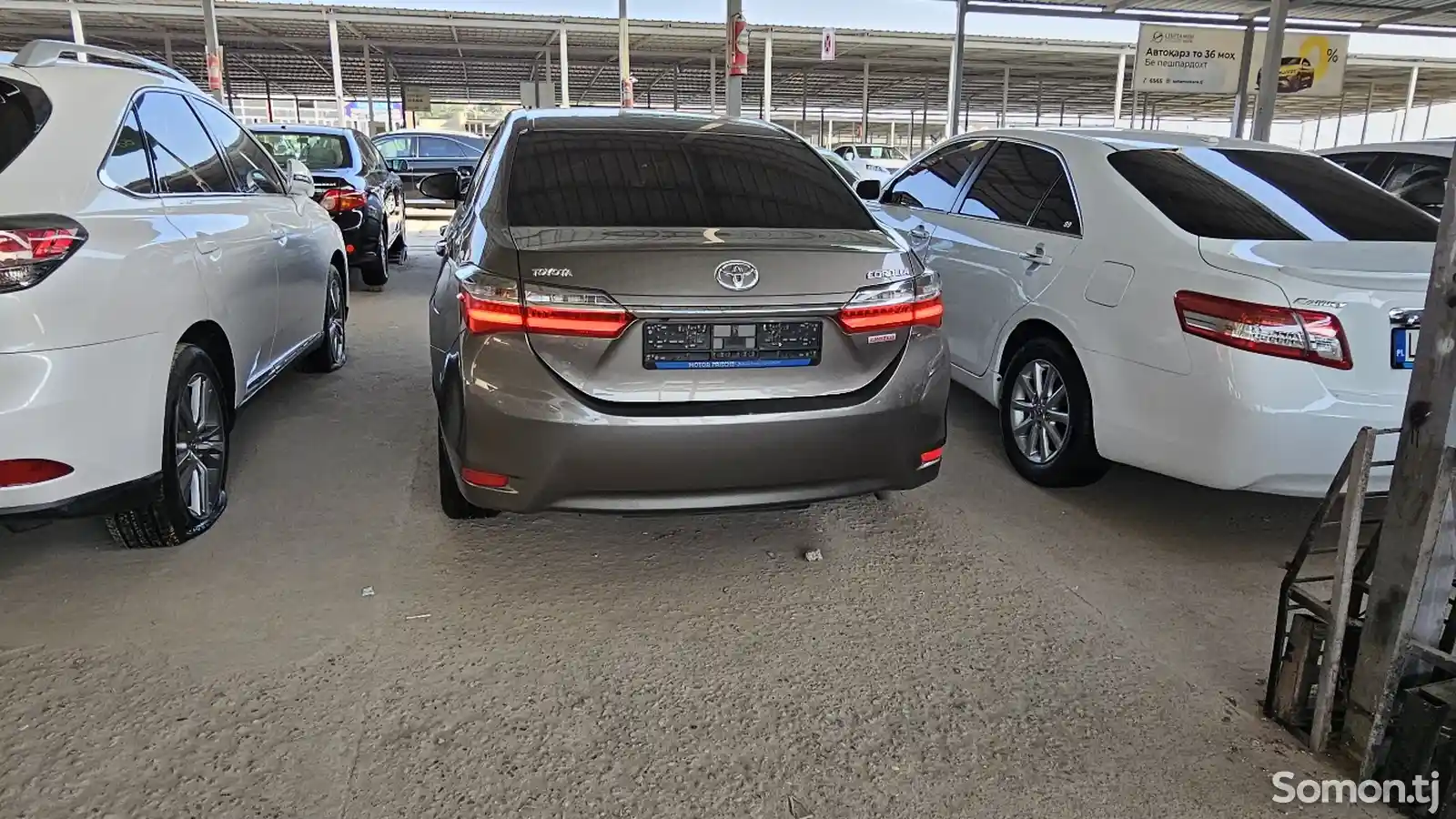 Toyota Corolla, 2019-2