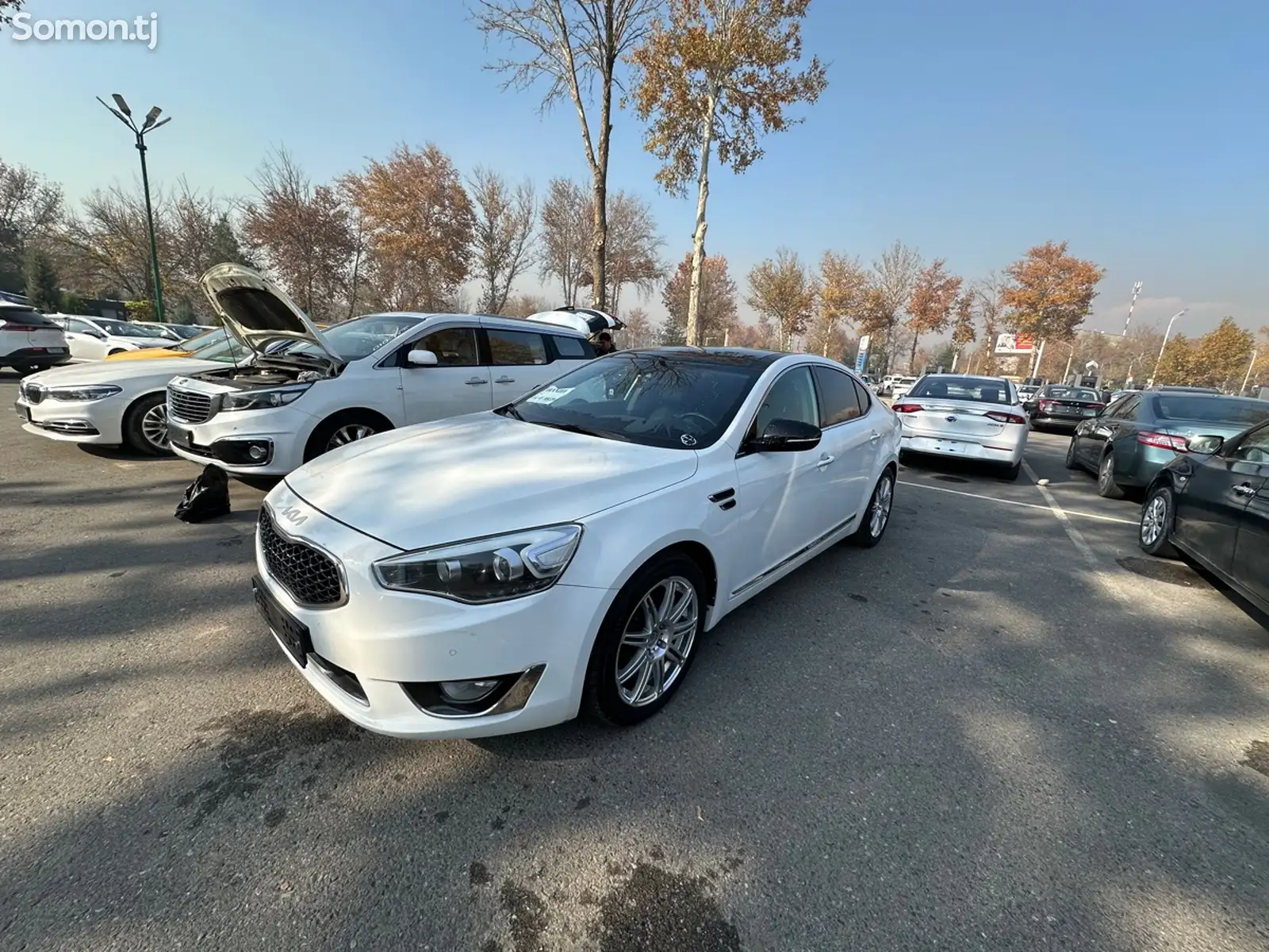 Kia K series, 2014-1