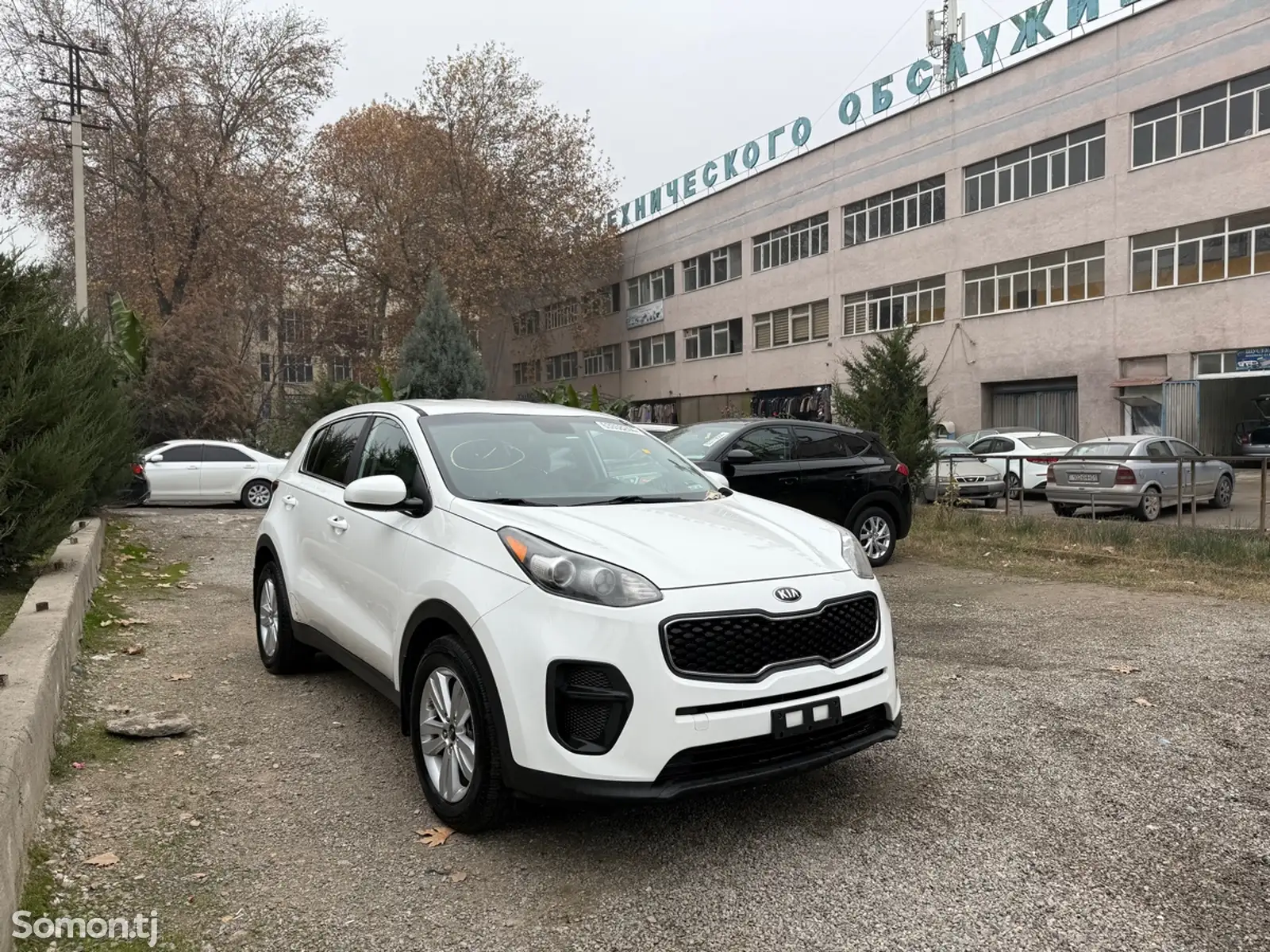 Kia Sportage, 2017-1