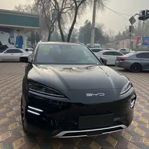 BYD Song Plus Flagship, 2024