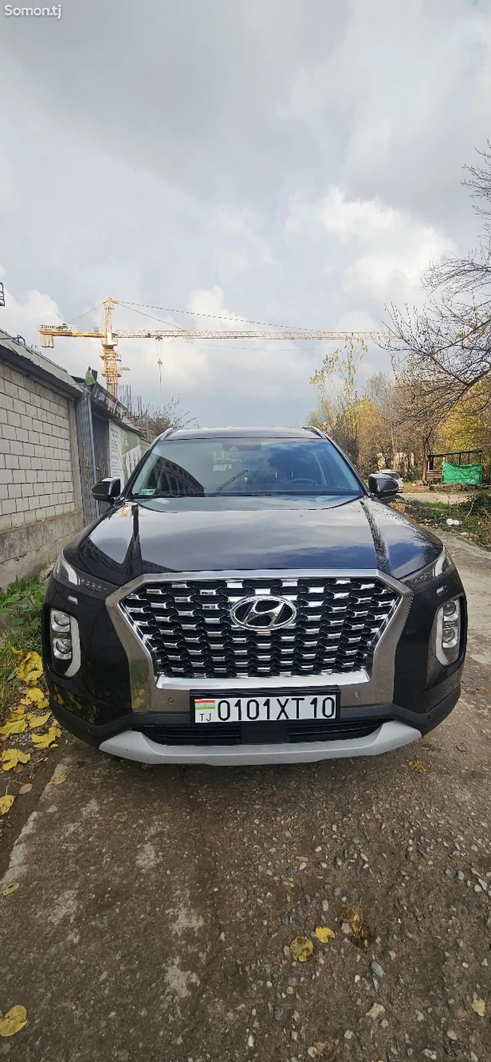 Hyundai Palisade, 2020-1