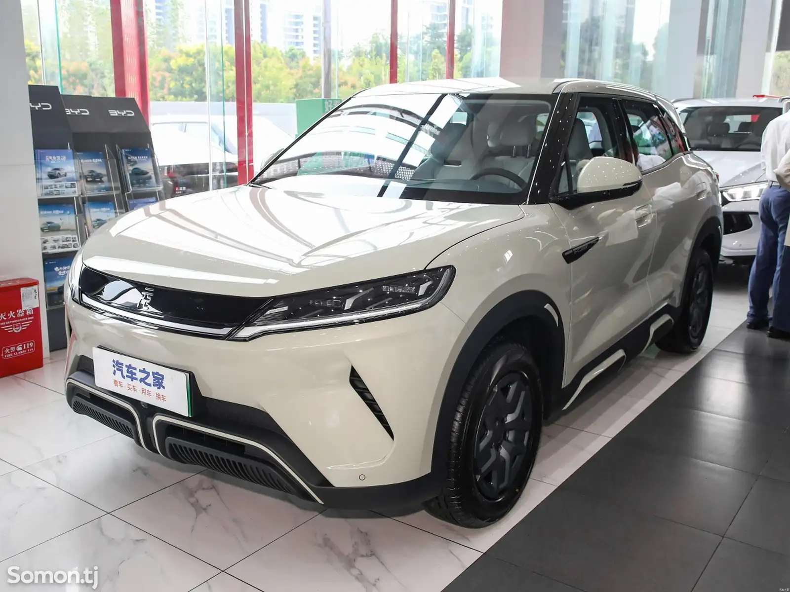 BYD Yuan Up, 2025-1