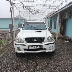 Hyundai Terracan, 2002