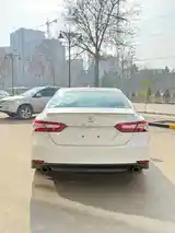 Toyota Camry, 2019-4