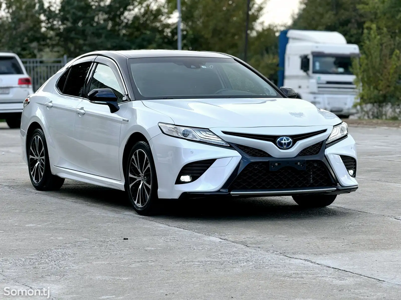 Toyota Camry, 2020-1