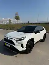 Toyota RAV 4, 2024-13