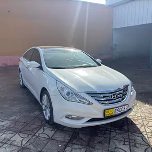 Hyundai Sonata, 2010