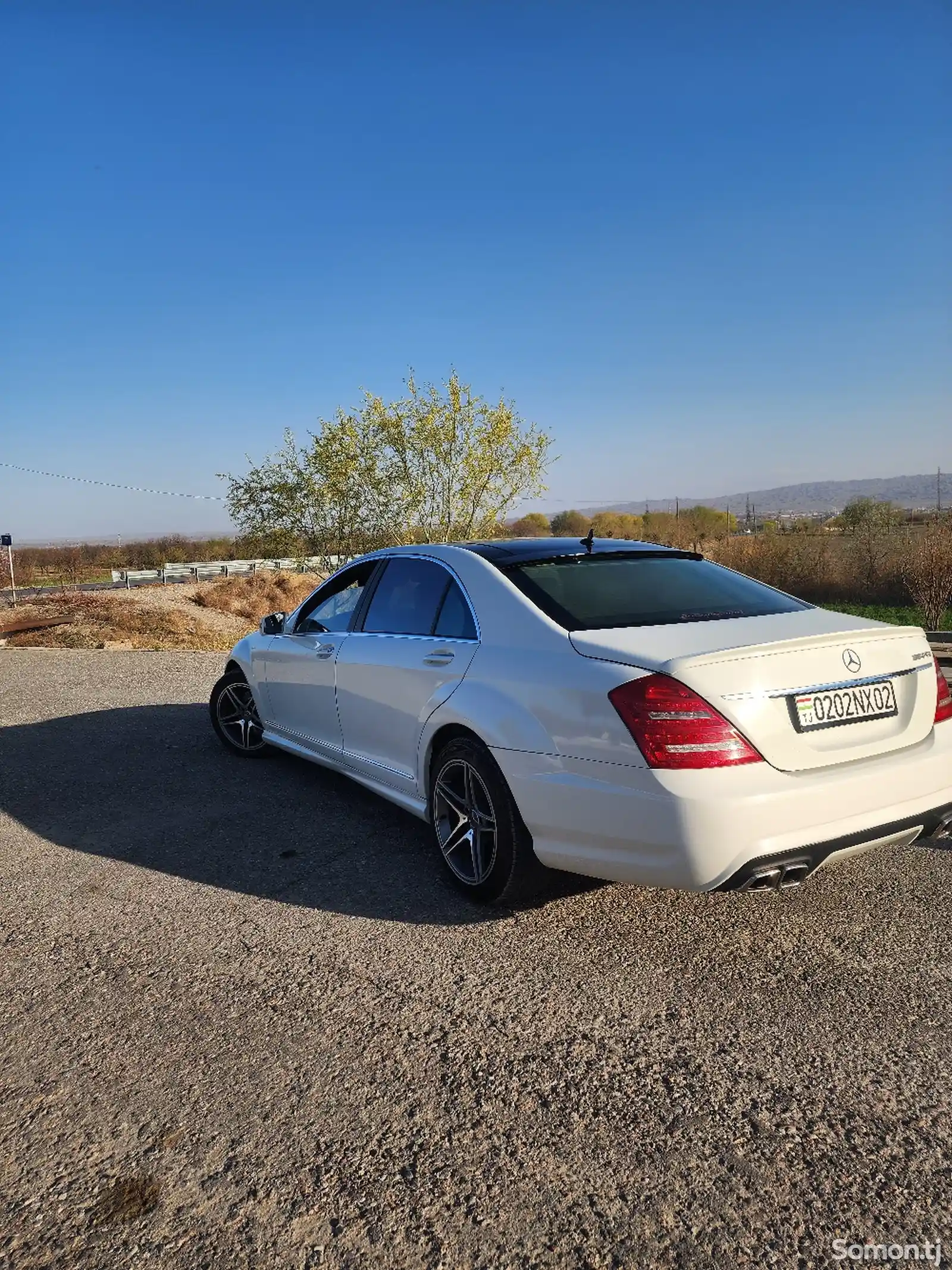 Mercedes-Benz S class, 2008-7