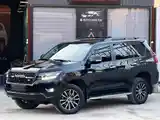 Toyota Land Cruiser Prado, 2012-3