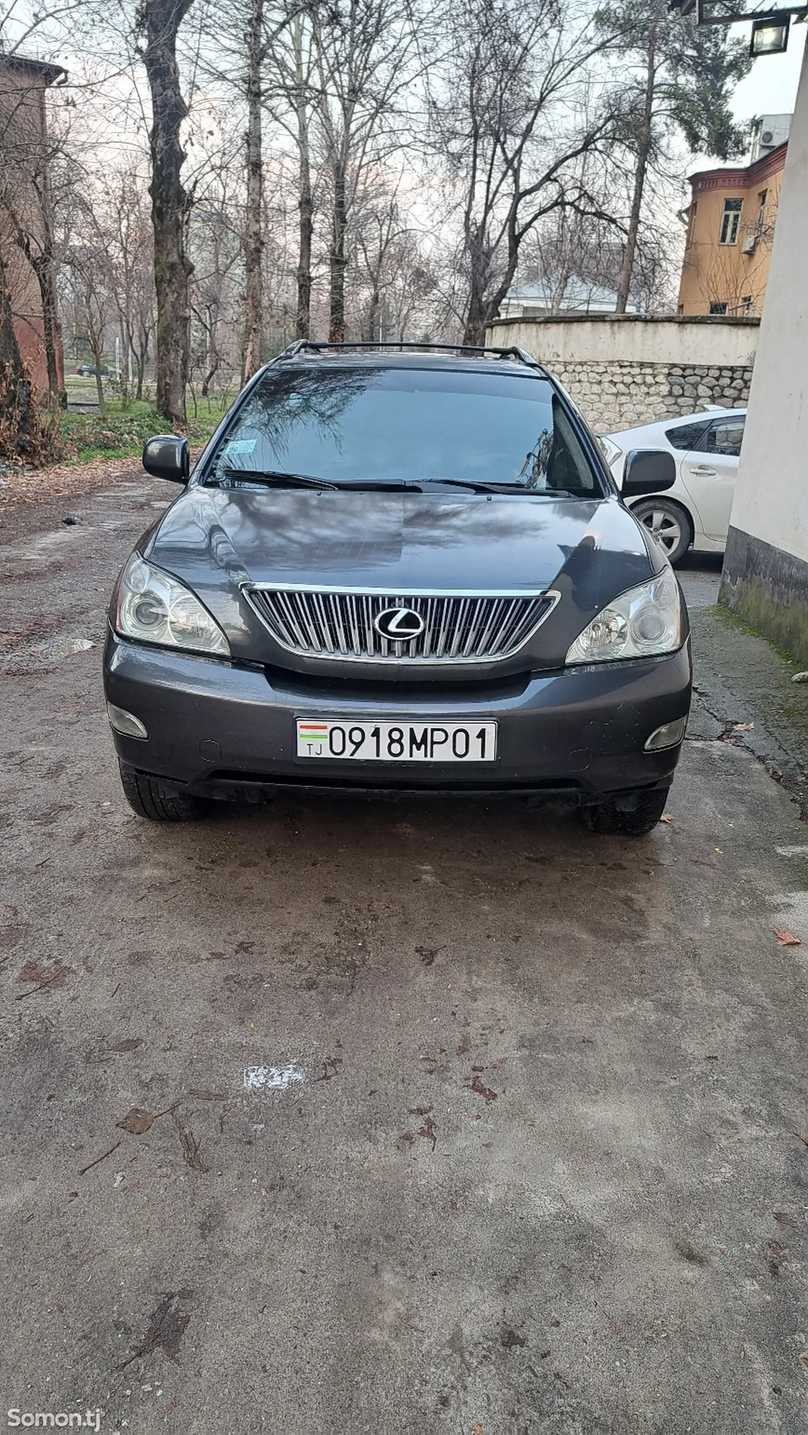 Lexus RX series, 2006-1