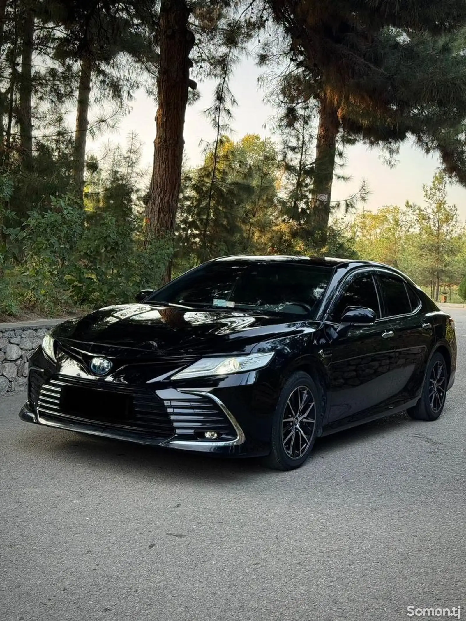 Toyota Camry, 2019-1