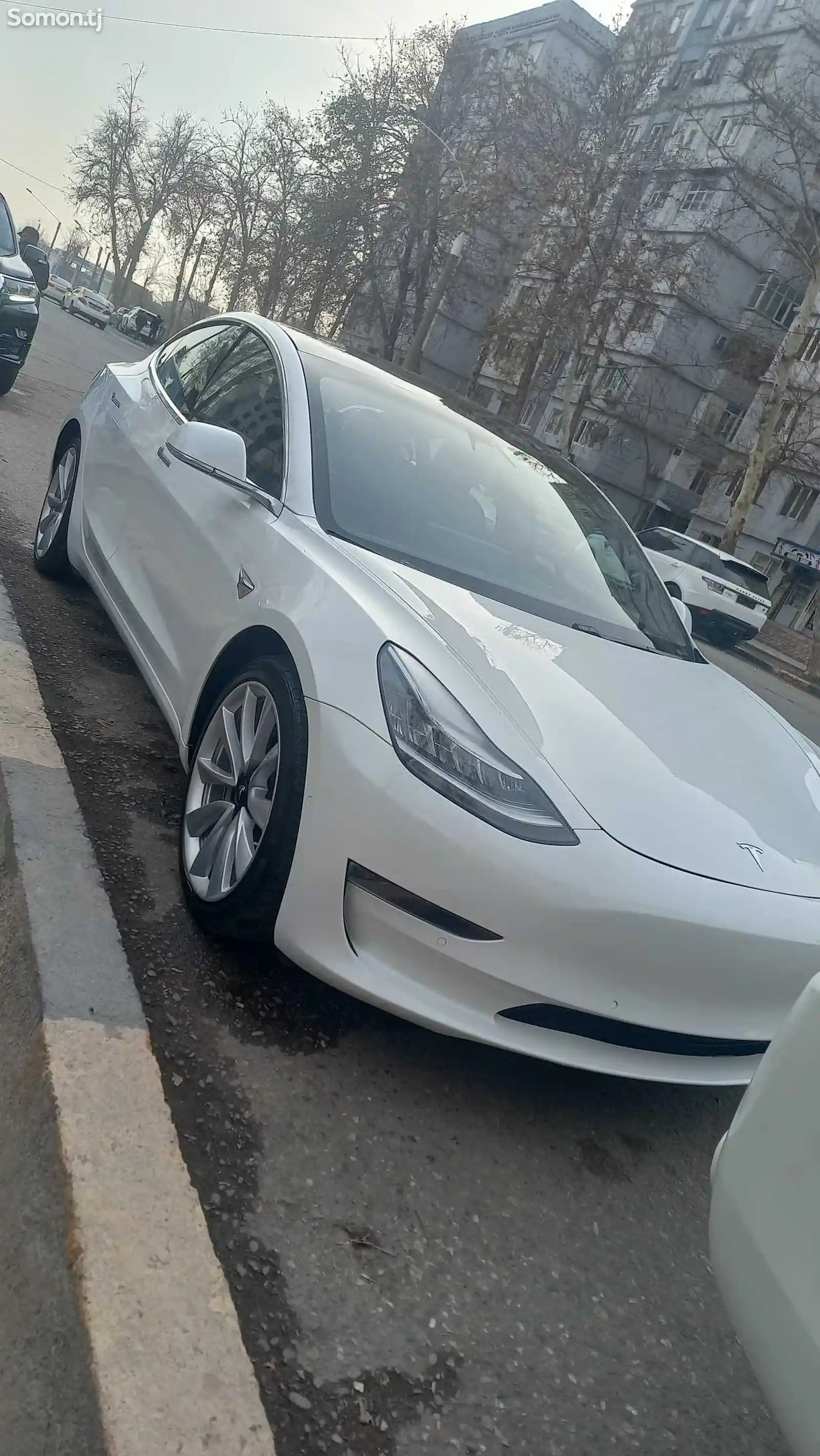 Tesla Model 3, 2020-2