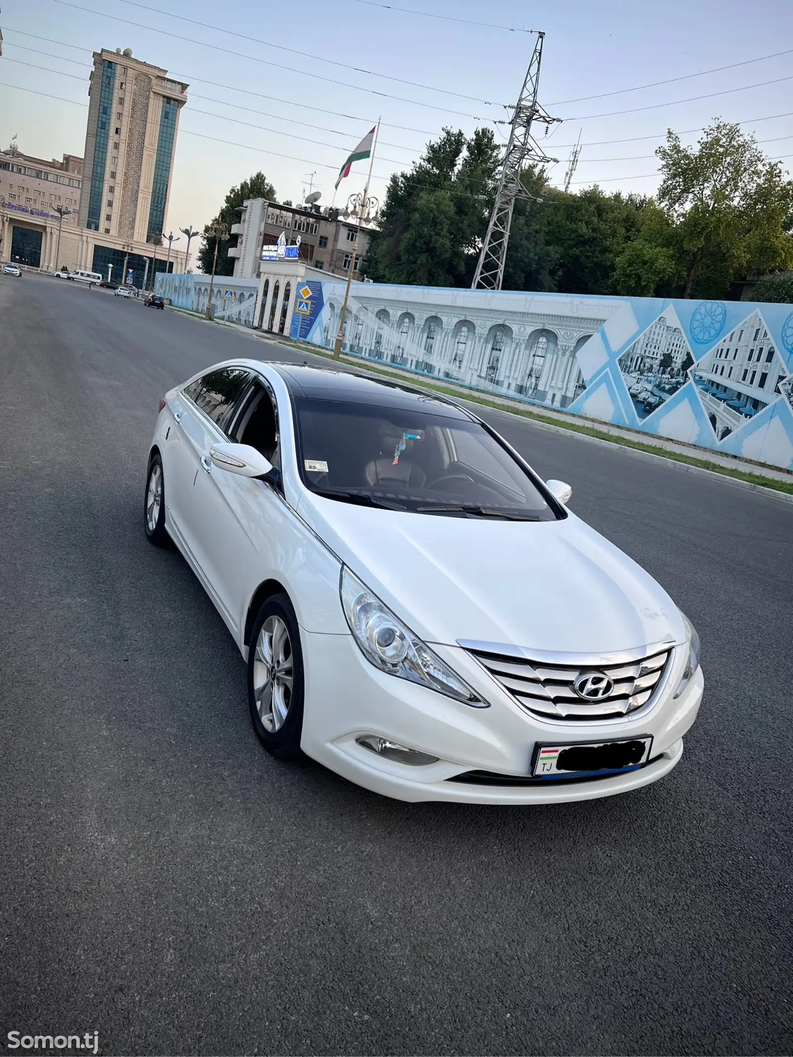 Hyundai Sonata, 2010-1