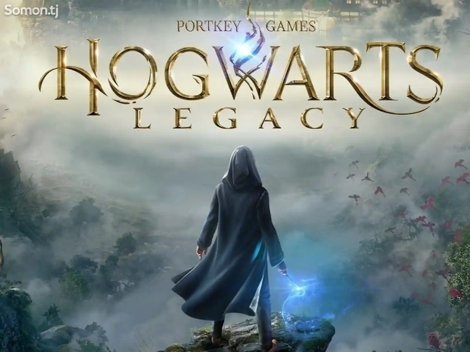 Игра Hogwarts Legacy PlayStation 4