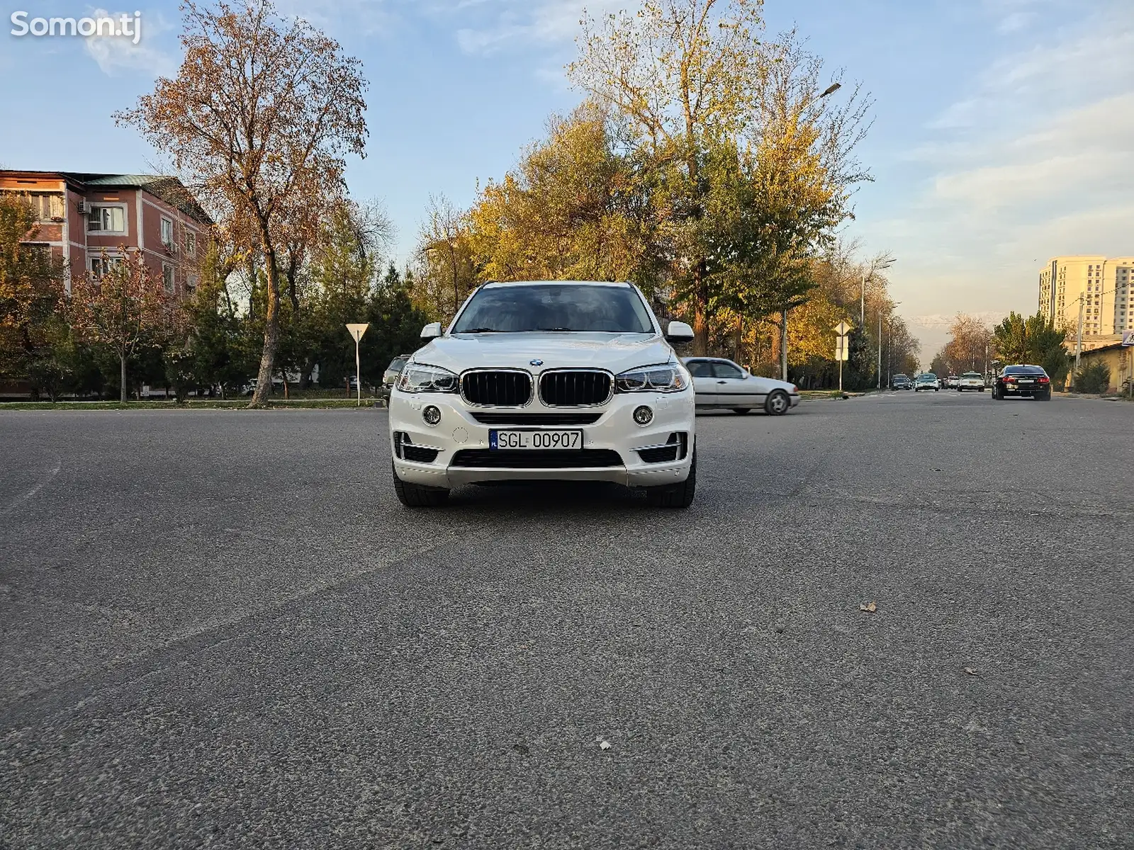 BMW X5, 2017-1