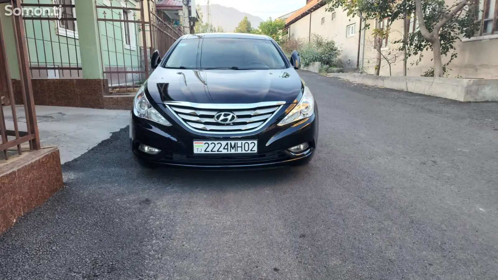 Hyundai Sonata, 2010-1