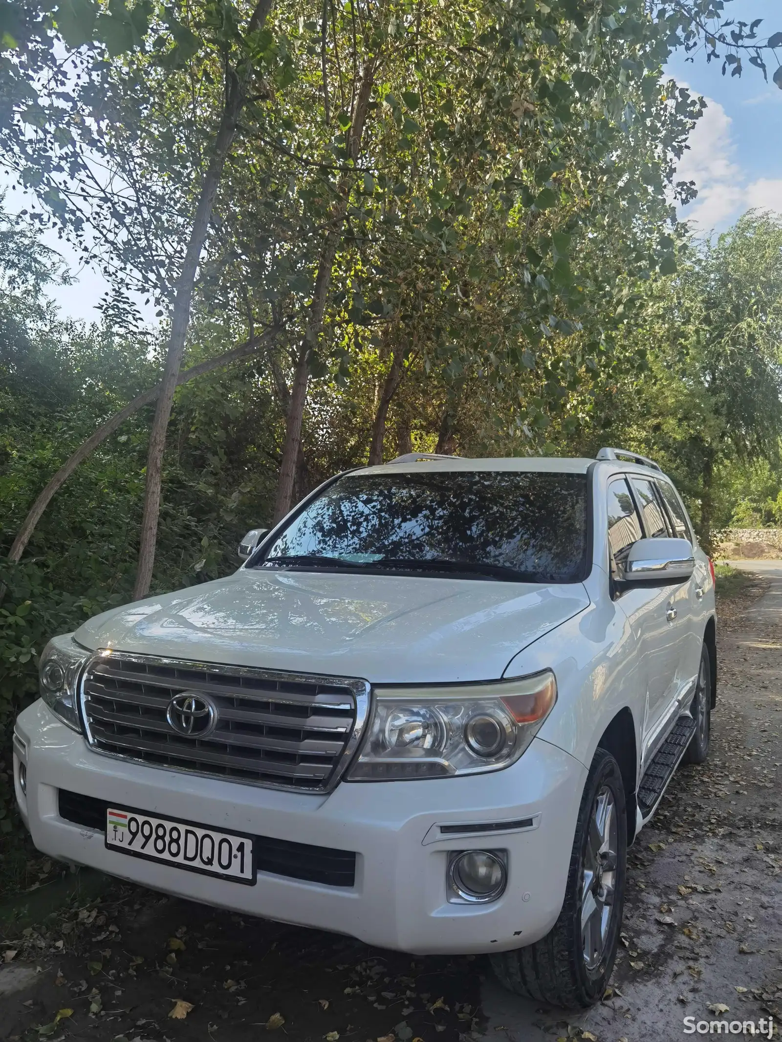 Toyota Land Cruiser, 2013-1