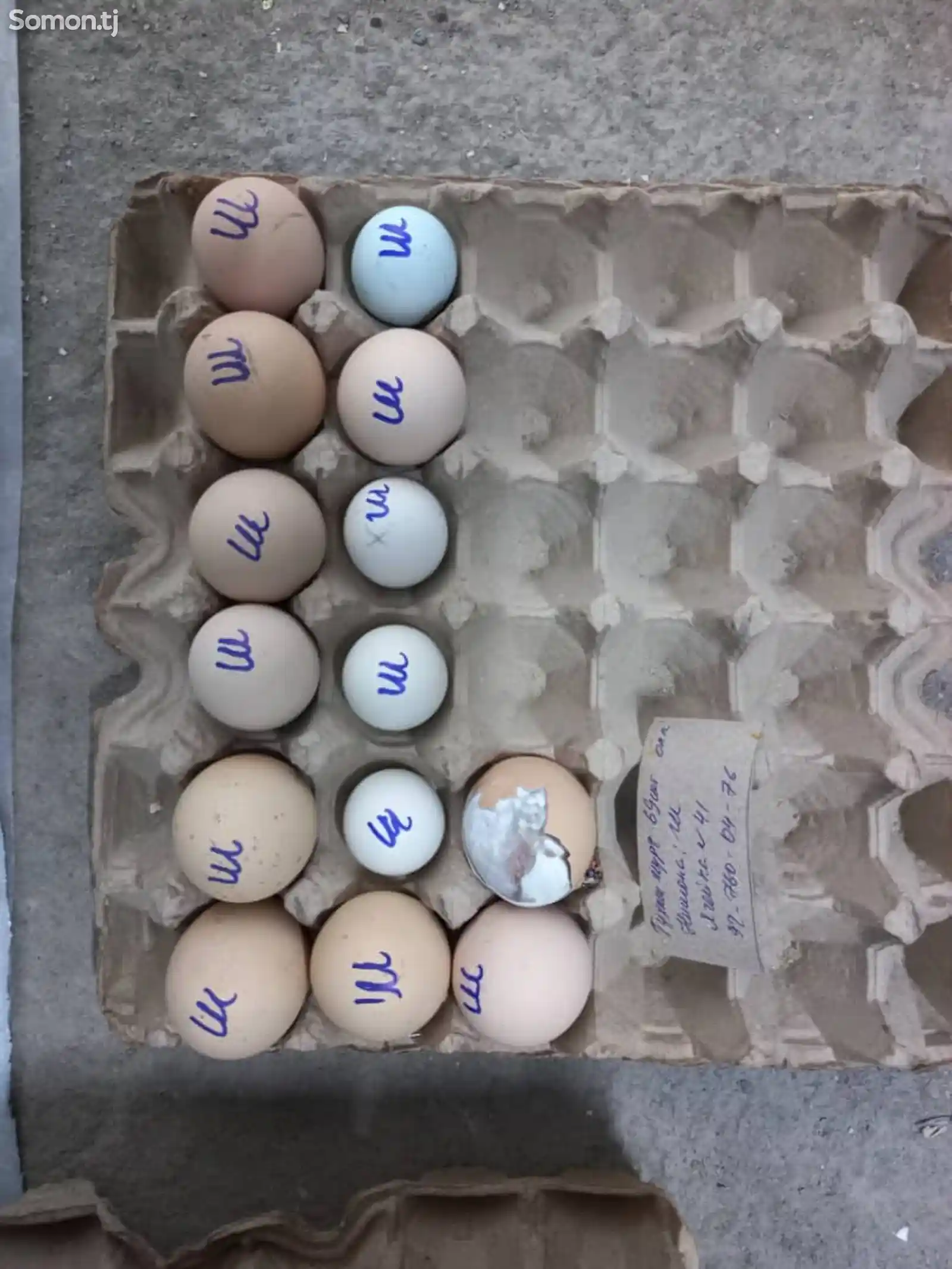 Яйца для инкубации-2