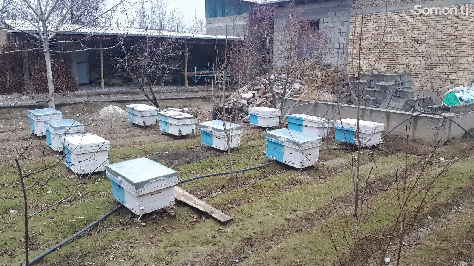 Ящик для пчёл-1