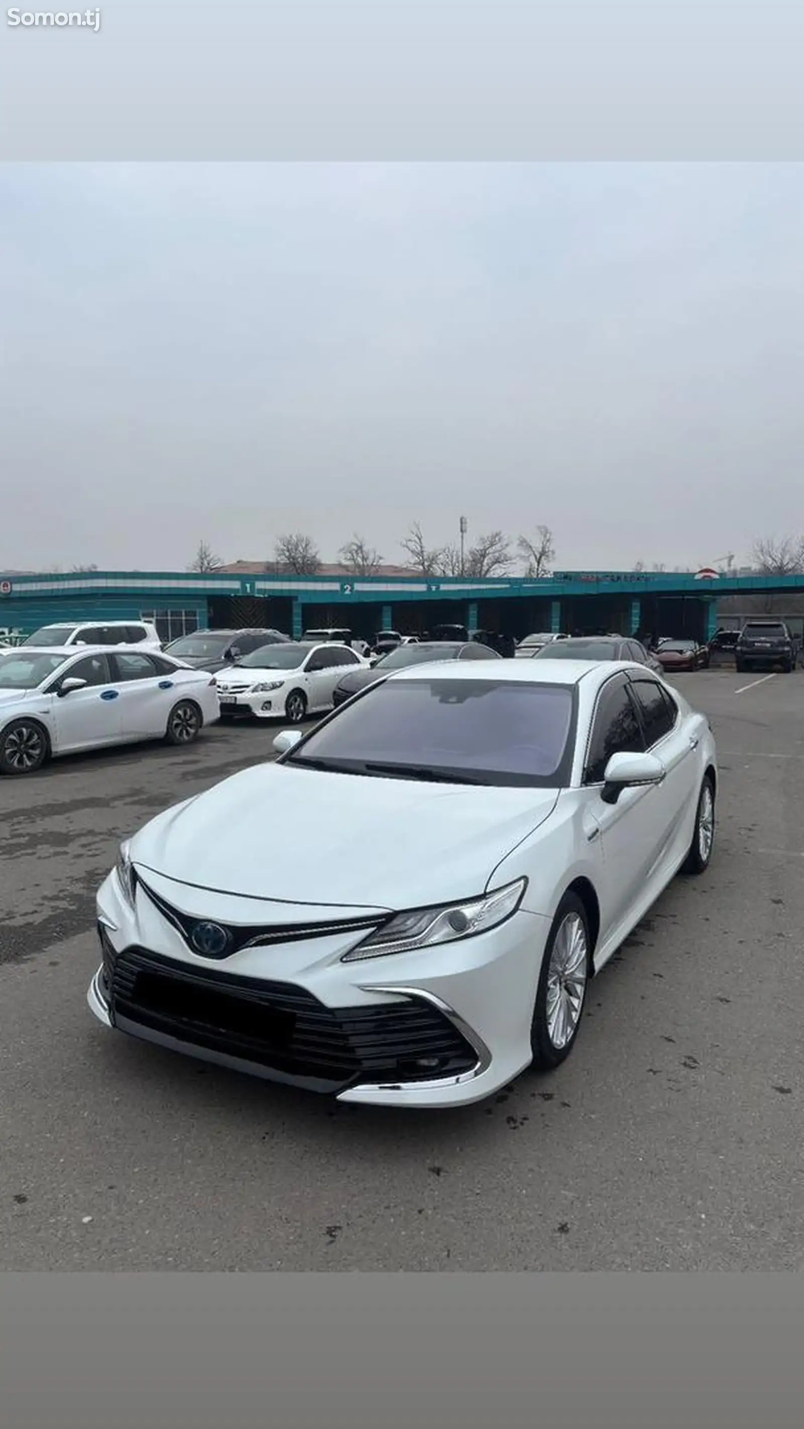 Лобовое стекло фиолетовый для Toyota Camry 6