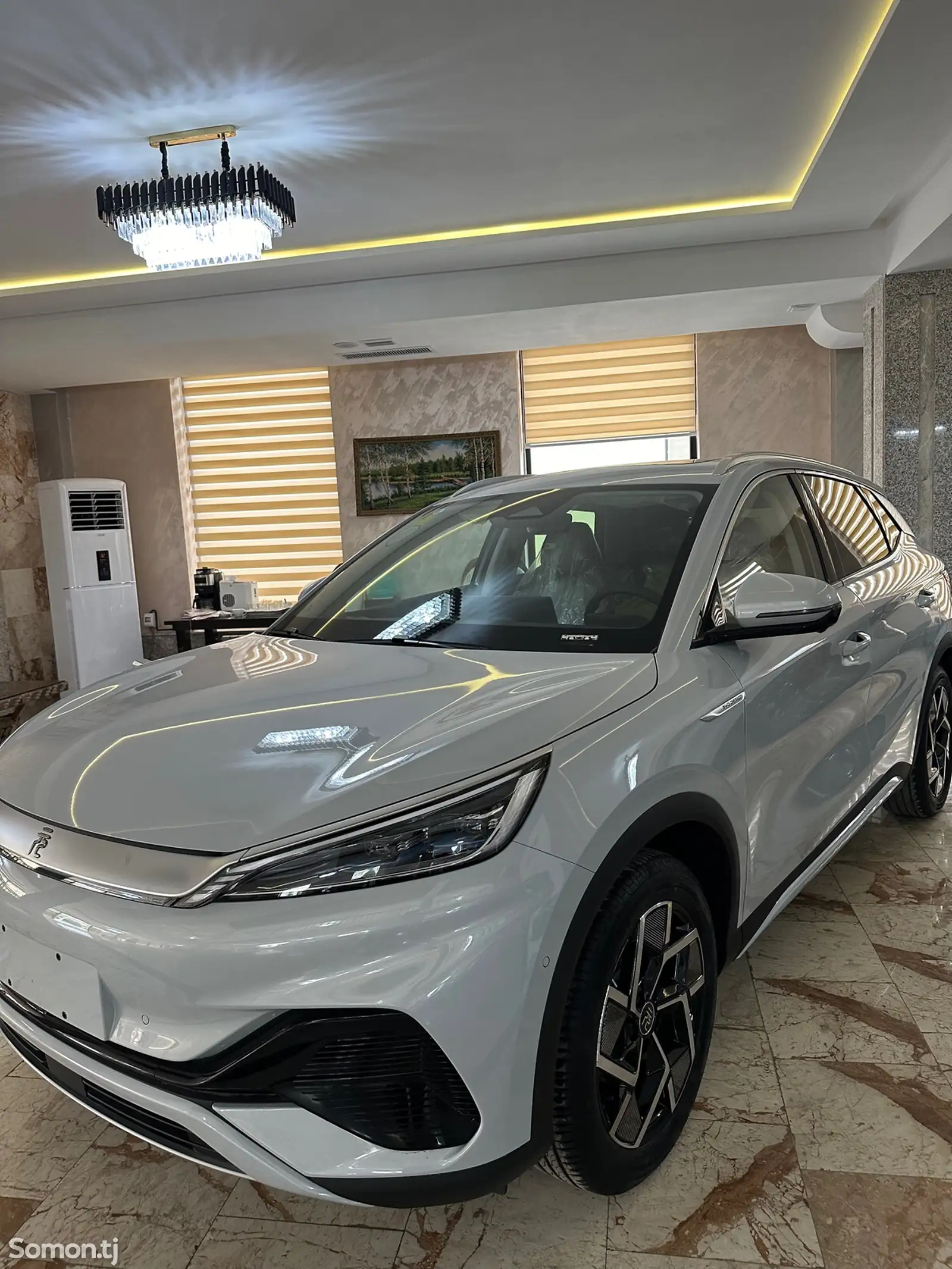 BYD Yuan Plus, 2024-5