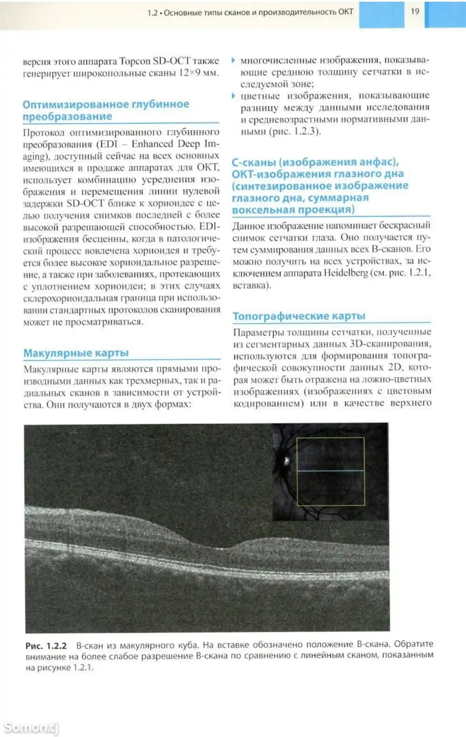 Книга Оптическая когерентная томография сетчатки-10