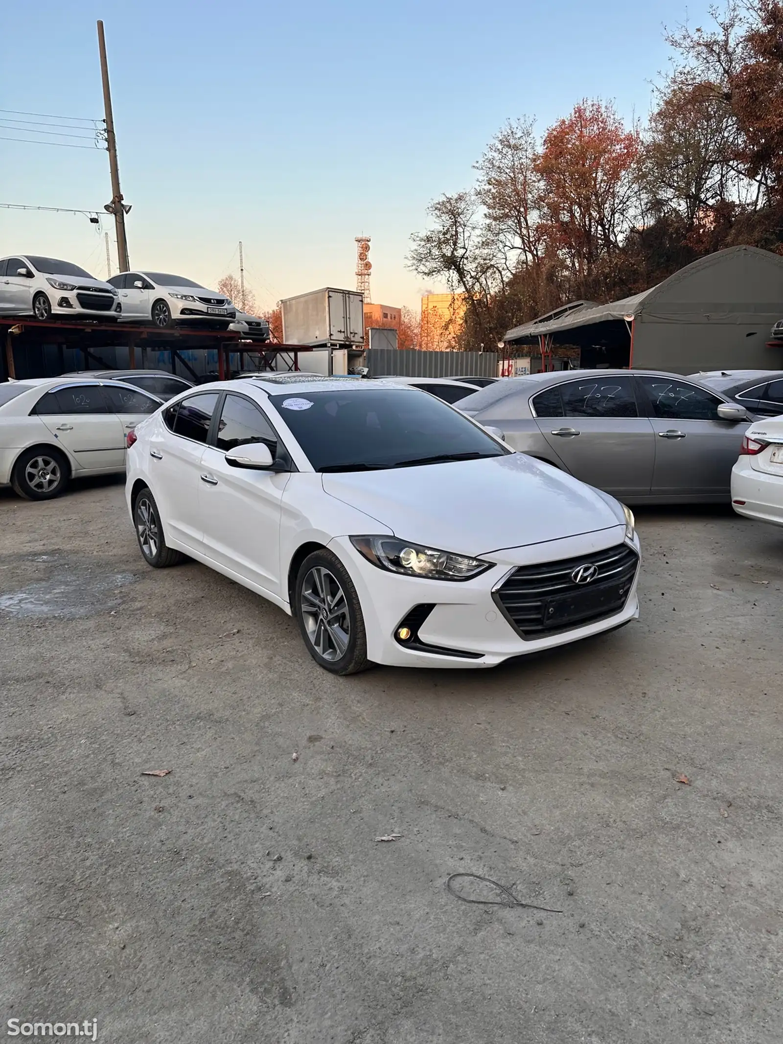 Hyundai Avante, 2016-1