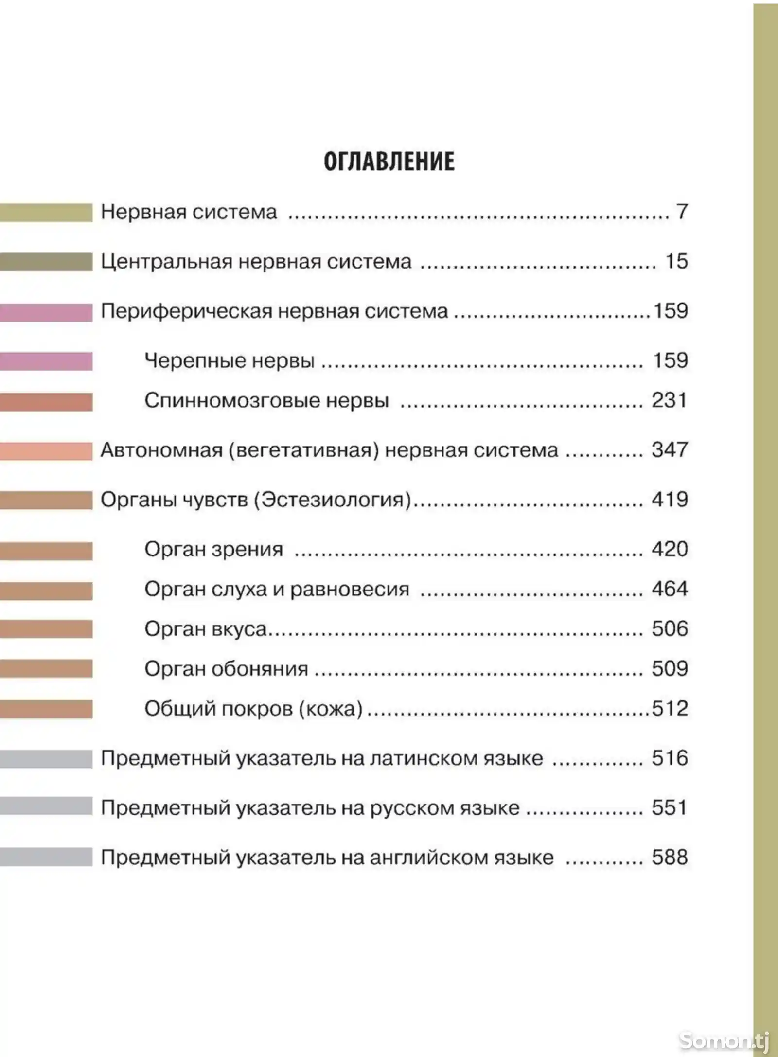 Атлас Анатомия человека на заказ-8