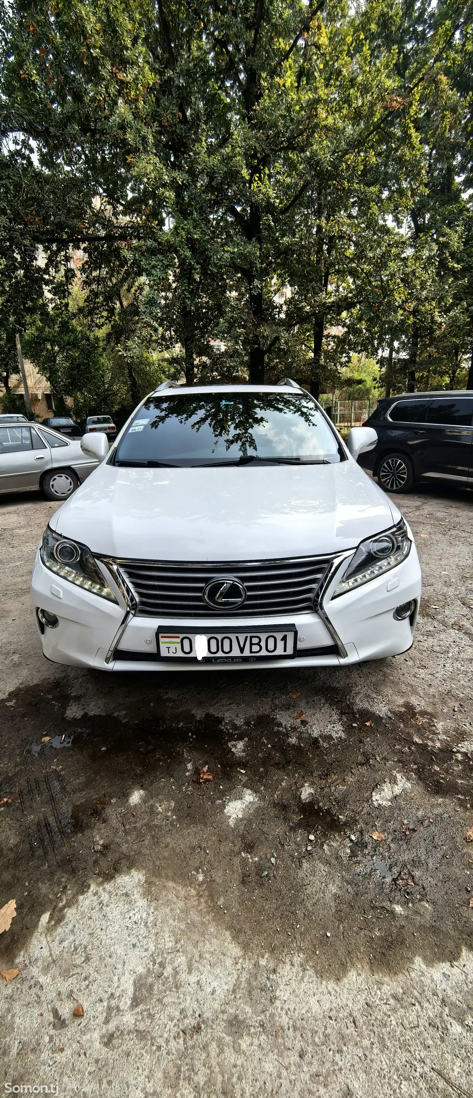 Lexus RX series, 2013-8