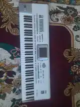 Синтезатор Korg Pa 2X-5