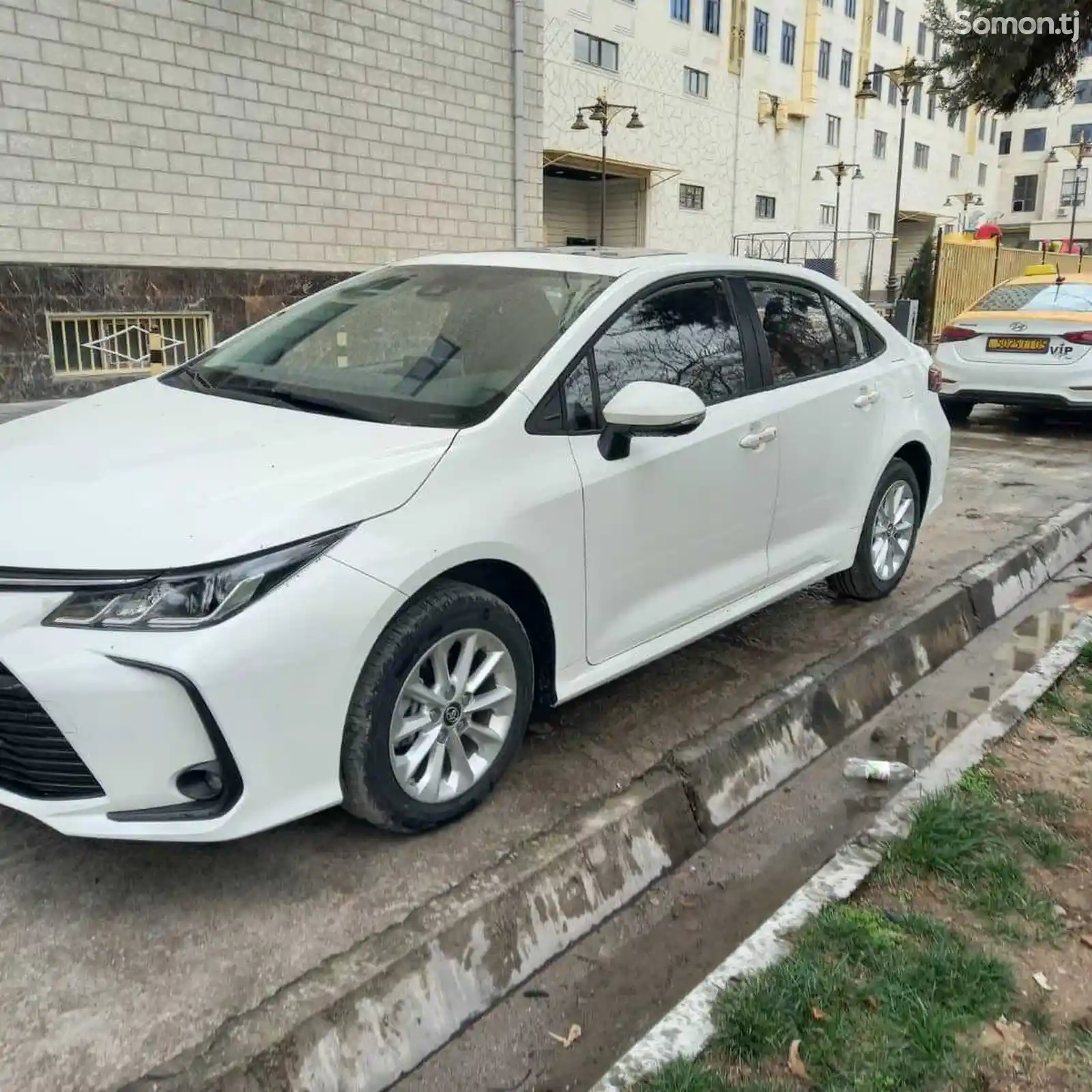 Toyota Corolla, 2023-3