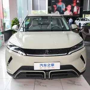 BYD Yuan Up, 2025