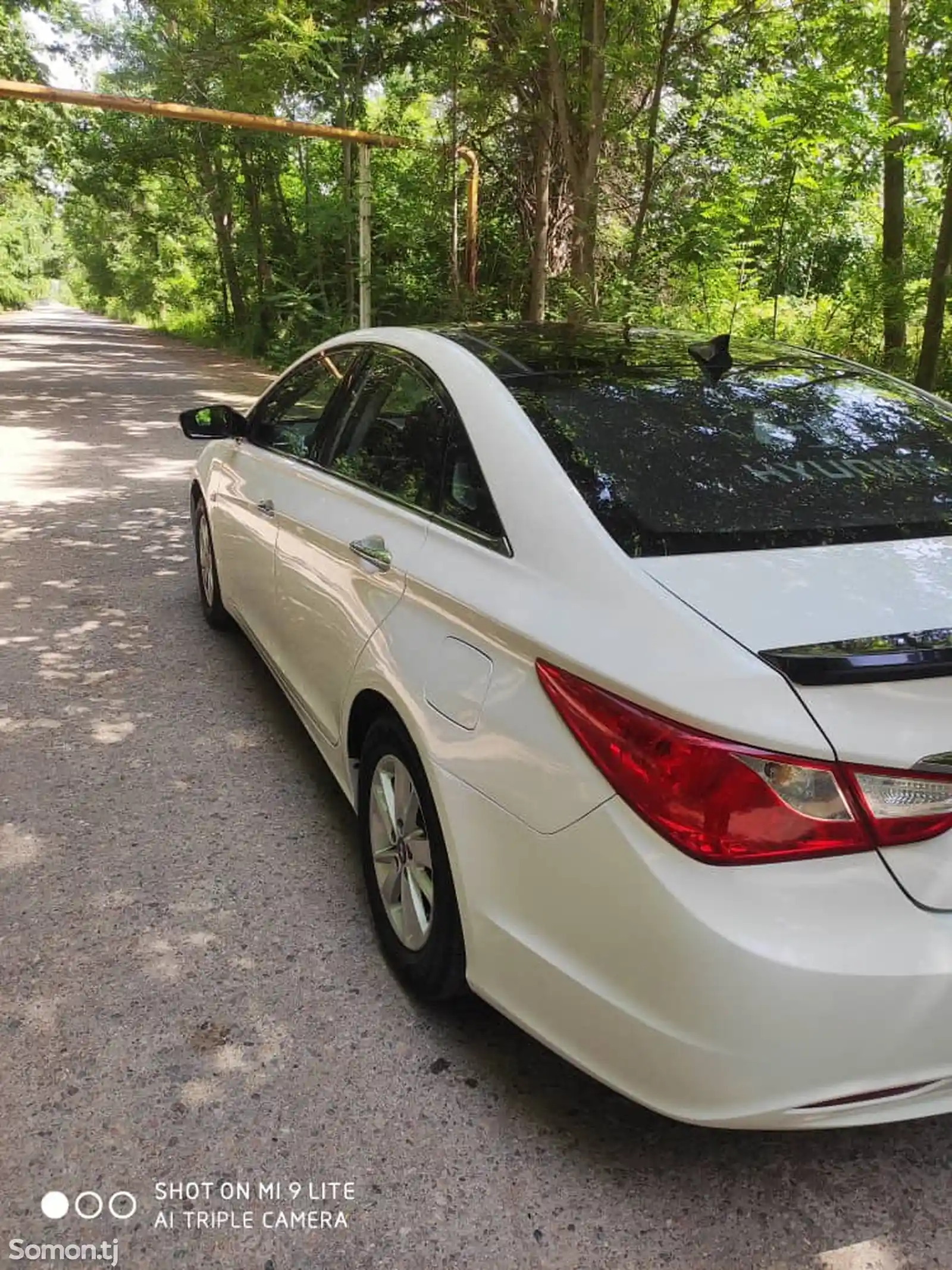 Hyundai Sonata, 2010-1