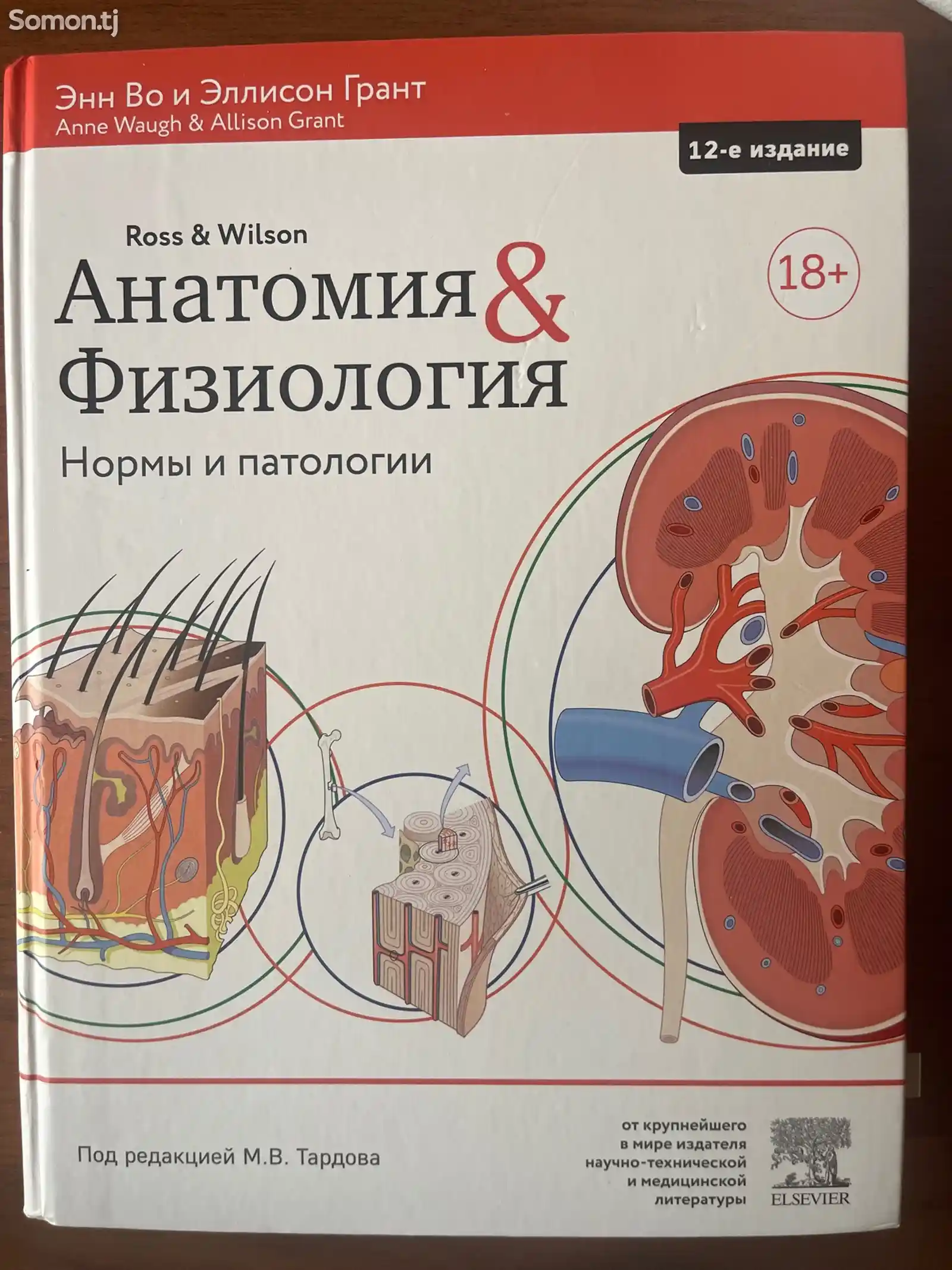 Книги по анатомии и физиологии человека-1