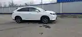 Lexus RX series, 2010-6