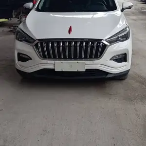 Hongqi E-HS3, 2019