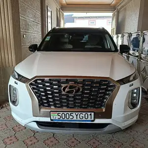 Hyundai Palisade, 2019