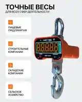 Крановые весы-5