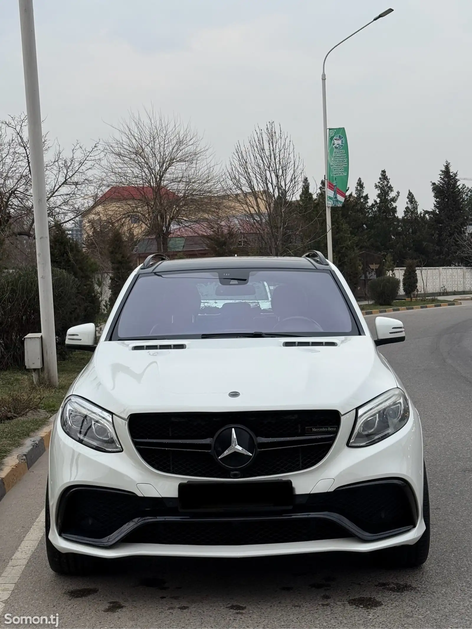 Mercedes-Benz ML class, 2013-1